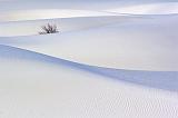 White Sands_32283